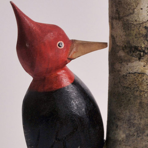 madera ave en palo carpintero.jpg