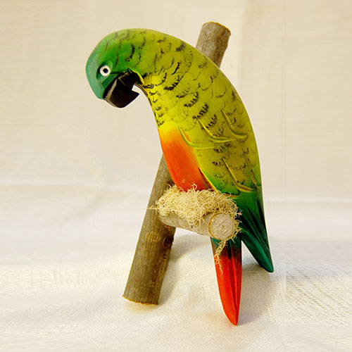 madera ave en palo loro.JPG