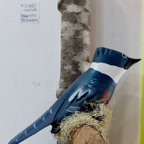 MARTÍN PESCADOR.jpeg