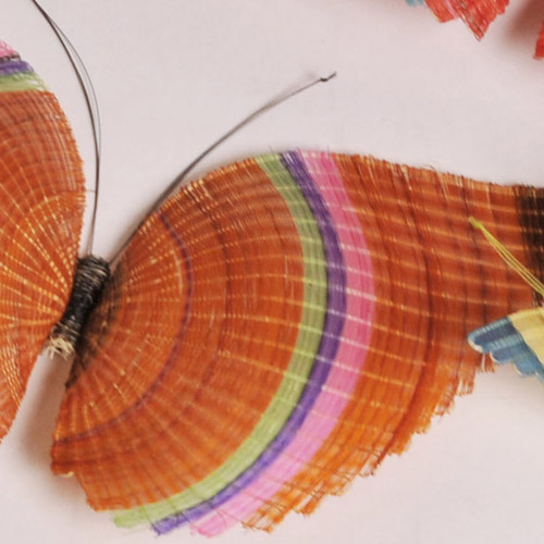 detalle mariposa.jpg