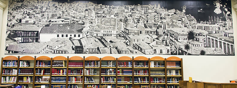 De Afiches Y Postales a Mural En la Biblioteca Nacional Loro Coirón
